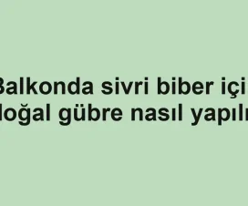 Balkonda sivri biber için doğal gübre nasıl yapılır