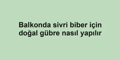 Balkonda sivri biber için doğal gübre nasıl yapılır
