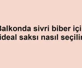 Balkonda sivri biber için ideal saksı nasıl seçilir