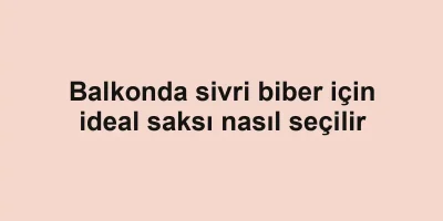 Balkonda sivri biber için ideal saksı nasıl seçilir