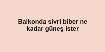 Balkonda sivri biber ne kadar güneş ister