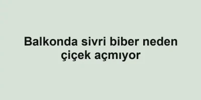 Balkonda sivri biber neden çiçek açmıyor