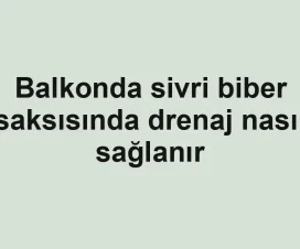 Balkonda sivri biber saksısında drenaj nasıl sağlanır