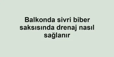 Balkonda sivri biber saksısında drenaj nasıl sağlanır