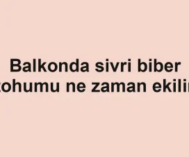 Balkonda sivri biber tohumu ne zaman ekilir