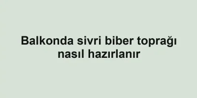Balkonda sivri biber toprağı nasıl hazırlanır