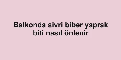 Balkonda sivri biber yaprak biti nasıl önlenir