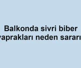 Balkonda sivri biber yaprakları neden sararır
