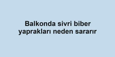 Balkonda sivri biber yaprakları neden sararır