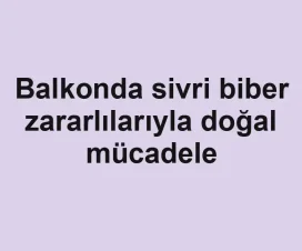 Balkonda sivri biber zararlılarıyla doğal mücadele