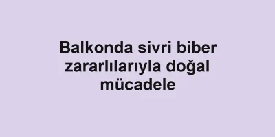 Balkonda sivri biber zararlılarıyla doğal mücadele
