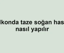 Balkonda taze soğan hasadı nasıl yapılır
