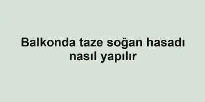 Balkonda taze soğan hasadı nasıl yapılır