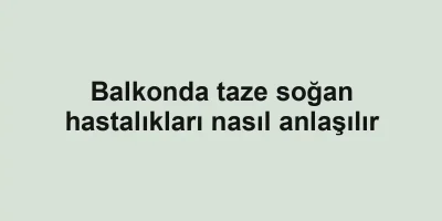 Balkonda taze soğan hastalıkları nasıl anlaşılır