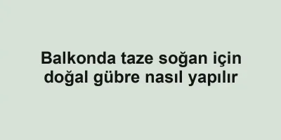 Balkonda taze soğan için doğal gübre nasıl yapılır