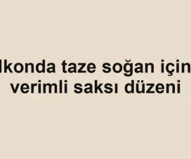 Balkonda taze soğan için en verimli saksı düzeni