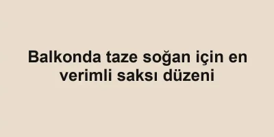 Balkonda taze soğan için en verimli saksı düzeni