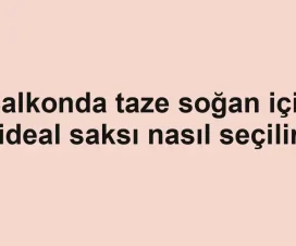 Balkonda taze soğan için ideal saksı nasıl seçilir
