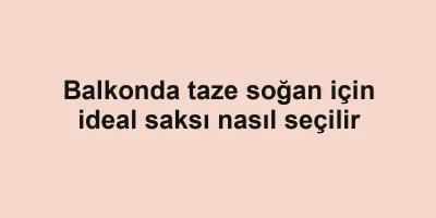Balkonda taze soğan için ideal saksı nasıl seçilir