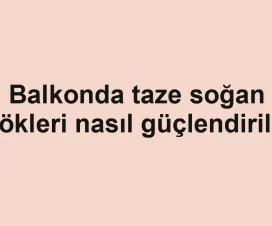 Balkonda taze soğan kökleri nasıl güçlendirilir