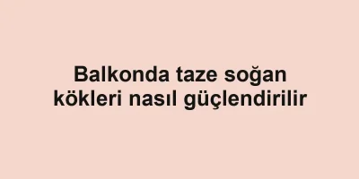 Balkonda taze soğan kökleri nasıl güçlendirilir
