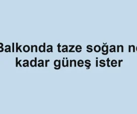 Balkonda taze soğan ne kadar güneş ister