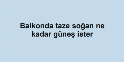 Balkonda taze soğan ne kadar güneş ister