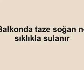 Balkonda taze soğan ne sıklıkla sulanır