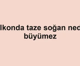 Balkonda taze soğan neden büyümez