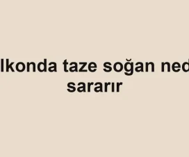 Balkonda taze soğan neden sararır