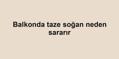 Balkonda taze soğan neden sararır