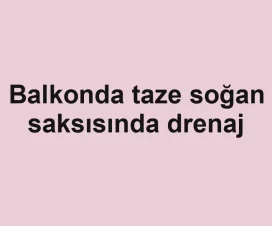 Balkonda taze soğan saksısında drenaj