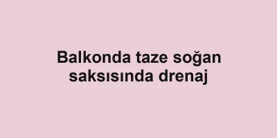 Balkonda taze soğan saksısında drenaj