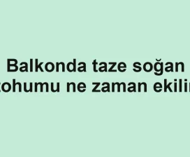 Balkonda taze soğan tohumu ne zaman ekilir
