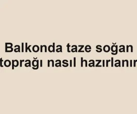 Balkonda taze soğan toprağı nasıl hazırlanır
