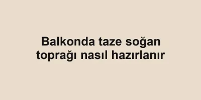 Balkonda taze soğan toprağı nasıl hazırlanır
