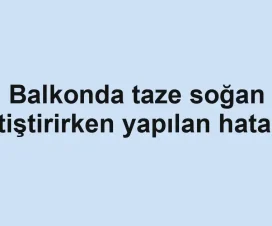 Balkonda taze soğan yetiştirirken yapılan hatalar