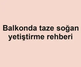 Balkonda taze soğan yetiştirme rehberi