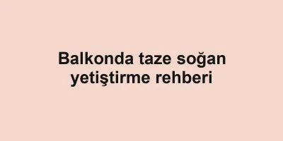Balkonda taze soğan yetiştirme rehberi