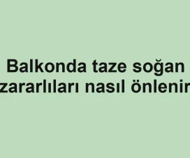 Balkonda taze soğan zararlıları nasıl önlenir