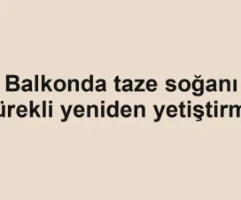 Balkonda taze soğanı sürekli yeniden yetiştirme