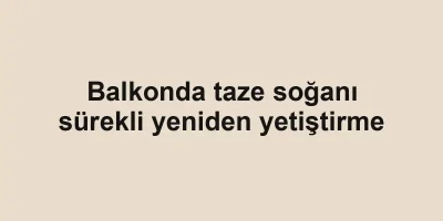 Balkonda taze soğanı sürekli yeniden yetiştirme