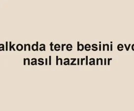 Balkonda tere besini evde nasıl hazırlanır