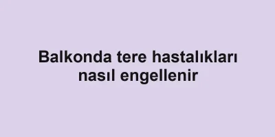 Balkonda tere hastalıkları nasıl engellenir