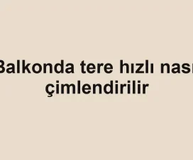 Balkonda tere hızlı nasıl çimlendirilir