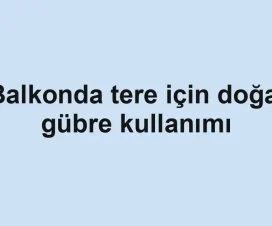 Balkonda tere için doğal gübre kullanımı