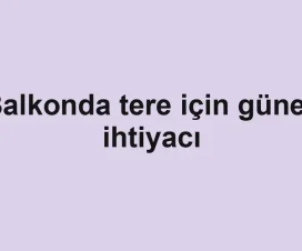 Balkonda tere için güneş ihtiyacı