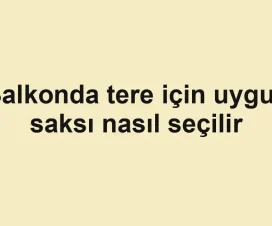Balkonda tere için uygun saksı nasıl seçilir