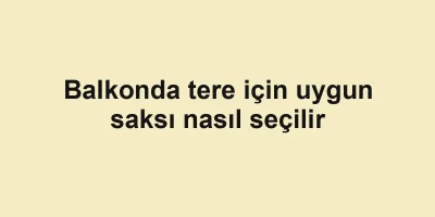 Balkonda tere için uygun saksı nasıl seçilir