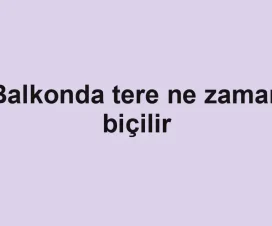 Balkonda tere ne zaman biçilir